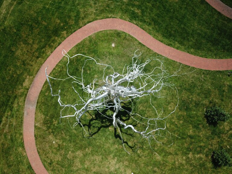 A tree sculpture from above. Neurodiversity at the Workplace